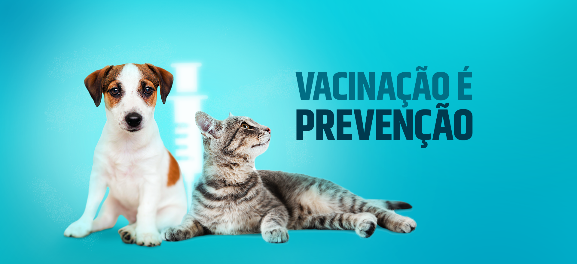 Vacinação é prevenção!